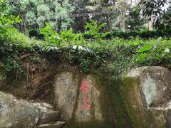 -福清灵石山国家森林公园