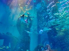 -波塞冬旅游度假区