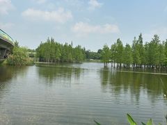 -白鹭湾湿地公园