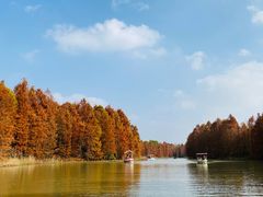 -上海海湾国家森林公园