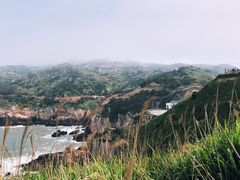 -枸杞岛