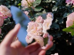 -人民公园(罗湖区)