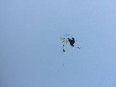 -百里峡七彩艺术小镇