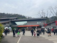 -都江堰中华大熊猫苑