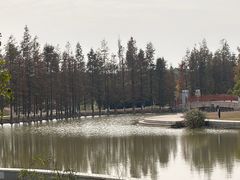 -瑶湖郊野森林公园