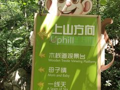 -大岭沟猕猴桃谷风景区