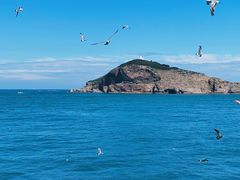 -海驴岛(荣成市)