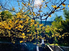 -南山风景名胜区