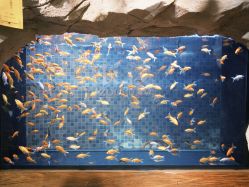 -Zoolung Zoolung动物主题公园(海信广场店)