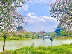 -海珠湖公园