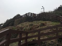 -龙头岩(Dragon Head Rock)