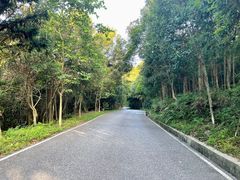 -广州白江湖森林公园