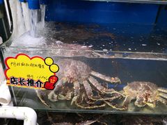 -蚝专家(北滘店)