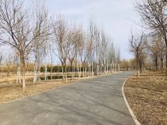 -东郊湿地公园