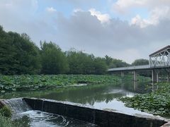 -大闫家烧烤·小海鲜家常菜(郑庄店)