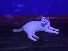 -星宿秘码(鼓浪屿老店)