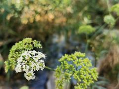 -碓臼峪自然风景区