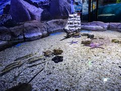-多彩贵州城极地海洋世界