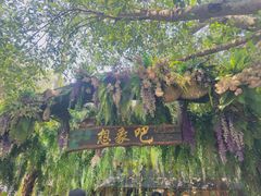 -西双版纳傣族园