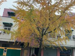 -四川大学(望江校区)