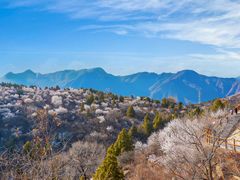 -白水寺森林公园