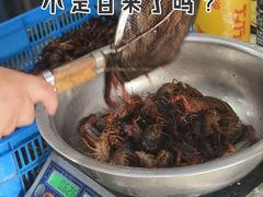 -祥鹤龙虾螃蟹