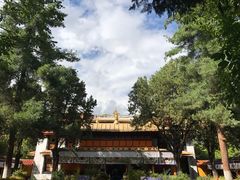 -罗布林卡