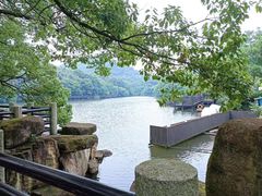 -白马涧龙池景区
