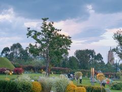 -云禾壹海景庄园餐厅