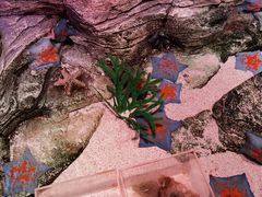 -沈阳海洋探索中心