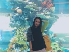 -福州罗源湾海洋世界旅游区