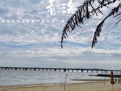 -巨鹏飞梦幻海岸