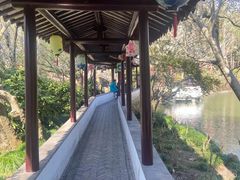 -上海醉白池公园