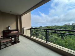 -海南清水湾莱佛士酒店