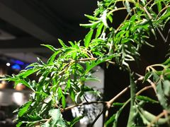 -时光花园(白鹭洲店)