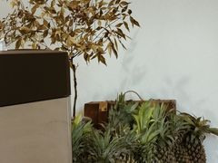 -椰椰大吉(海城店)