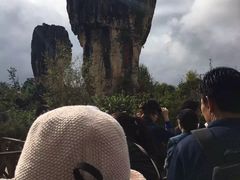 -玉苍山国家森林公园