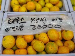 -咸德海水浴场