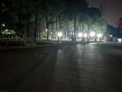 -仙岳公园