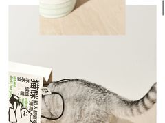 -Seesaw Coffee(上海虹桥天地店)