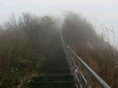 -江南天池