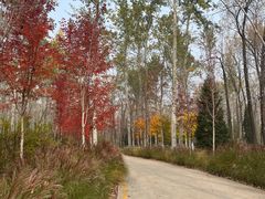 -秦皇岛野生动物园
