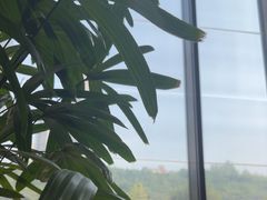 -济南喜来登酒店-盛宴自助西餐厅·综合自助