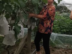 -马陆小张葡萄园农家乐