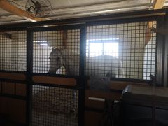 -北京群众马术培训基地