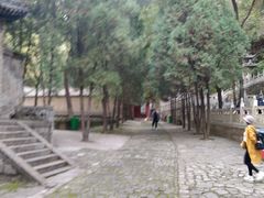 -藏山旅游风景区