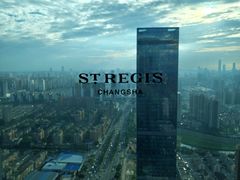-Yan Ting宴庭中餐厅-长沙瑞吉酒店(运达店)