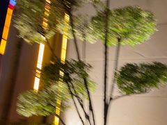 -洛阳宴·洛阳菜(南昌路店)