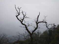 -青城山