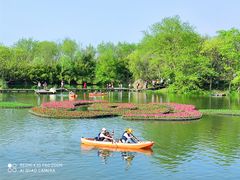 -西溪国家湿地公园